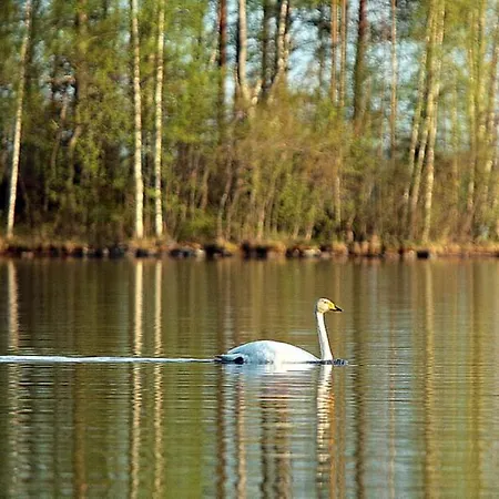 Pohjantilan Hirsituvat - Pohjantähti Loma-asunnot
